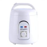 Sauna Steamer Portable Pot-1.8 Liters Suit Home SPA Shower 110V (US Plug)