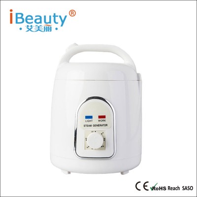 Sauna Steamer Portable Pot Machine Evaporator Explosion-Proof for Home Personal SPA Shower